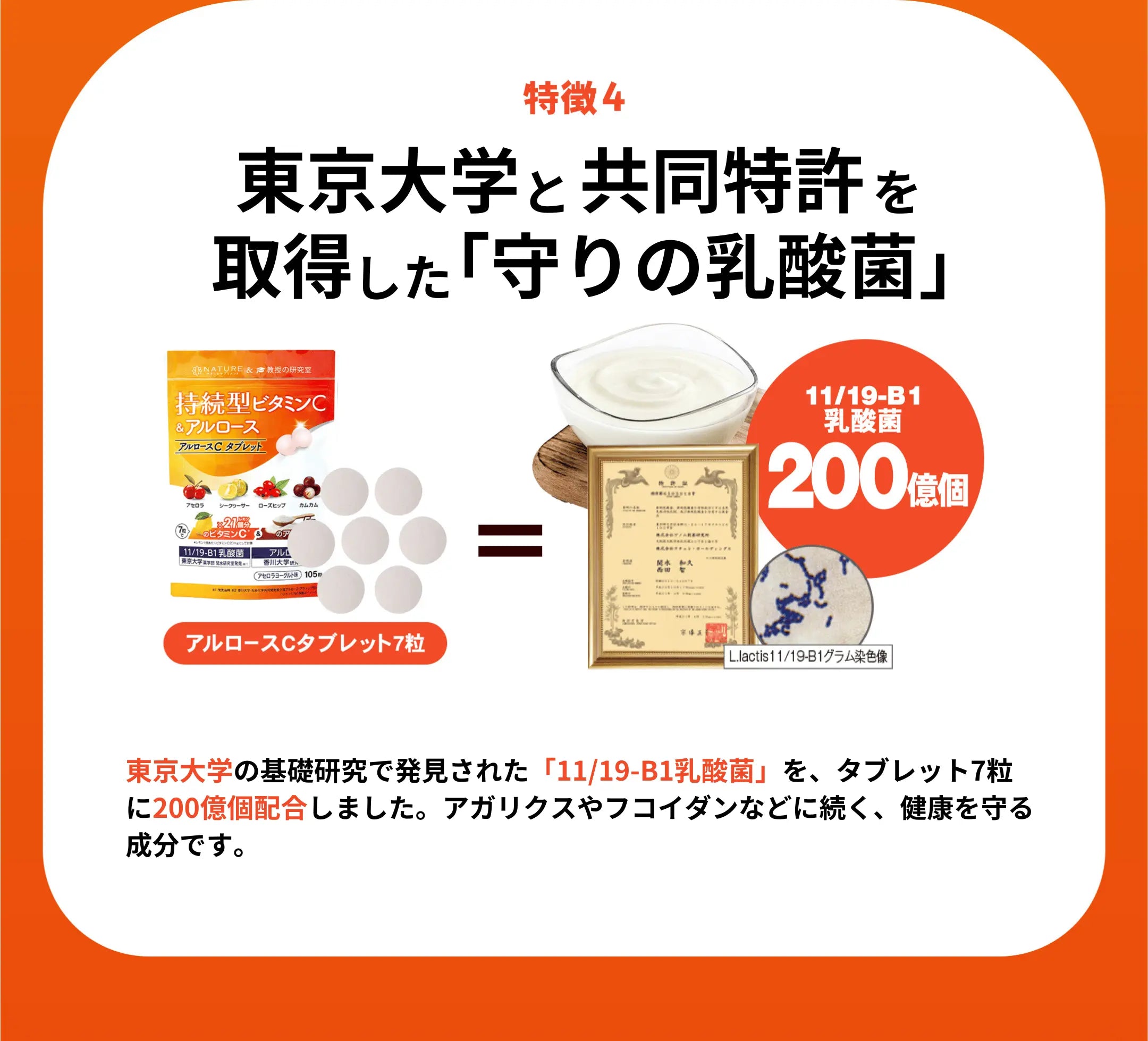 特徴4として、アルロースCは、東京大学の基礎研究で発見された守りの乳酸菌である「11/19-B1乳酸菌」を、タブレット7粒に200億個配合しているという説明画像