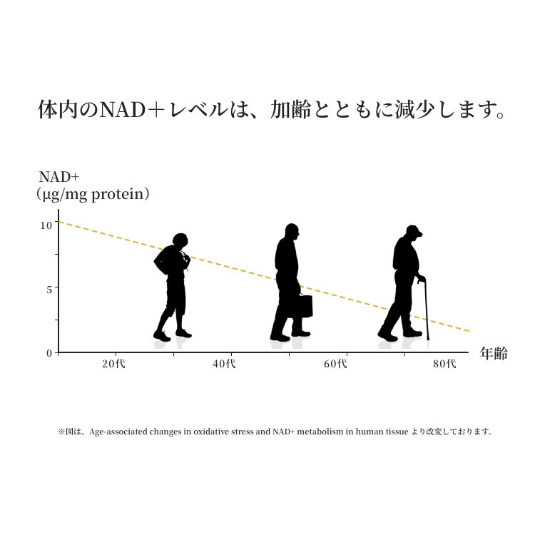 加齢と共に減少するNAD