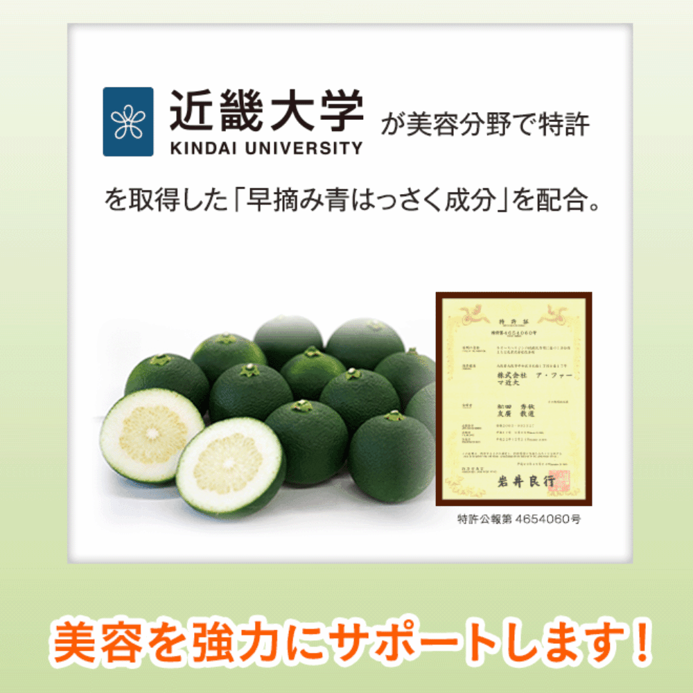 24時間持続】ロングキープビタミンC – 健活手帖通販 24時間持続】ロングキープビタミンC – 健活手帖通販